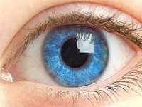 Хирургия слепого глаза — новая услуга в «СМ-Клиника»