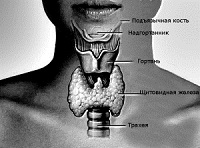 КТ щитовидной железы